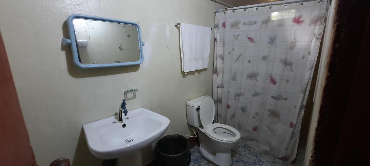 Tropical Dreams Hostel South End ภายนอก รูปภาพ