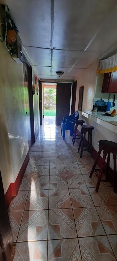 Tropical Dreams Hostel South End ภายนอก รูปภาพ