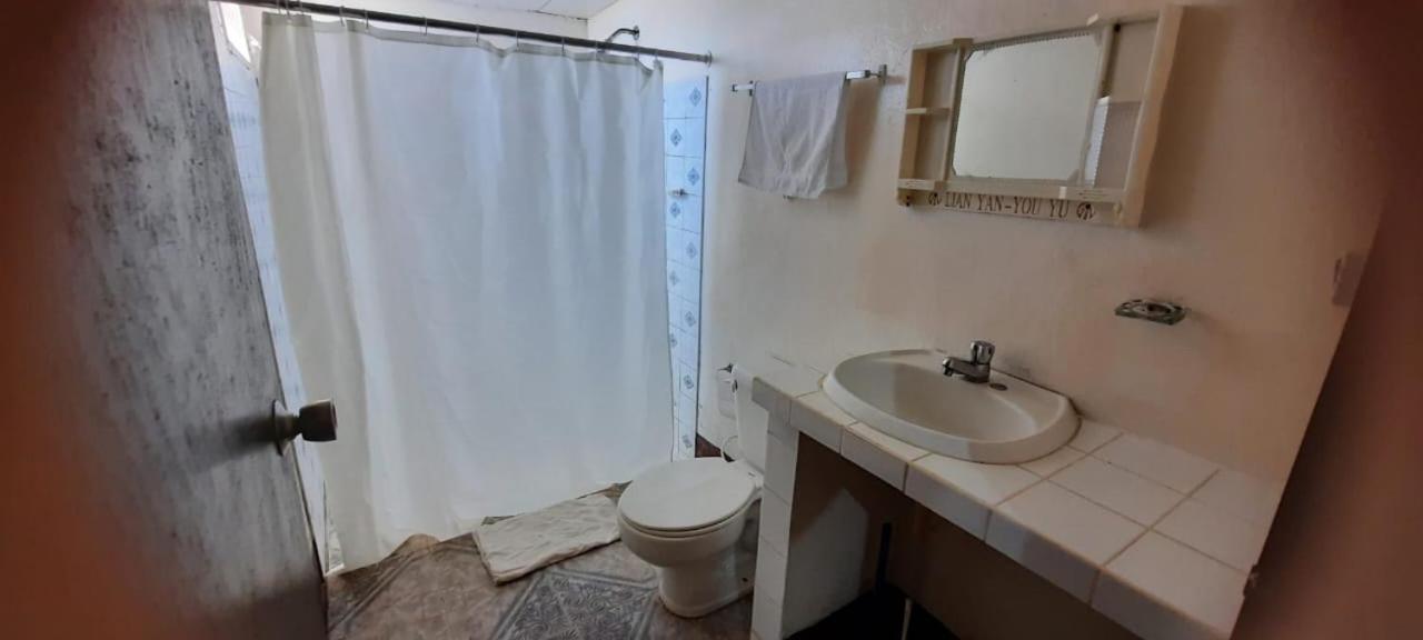 Tropical Dreams Hostel South End ภายนอก รูปภาพ